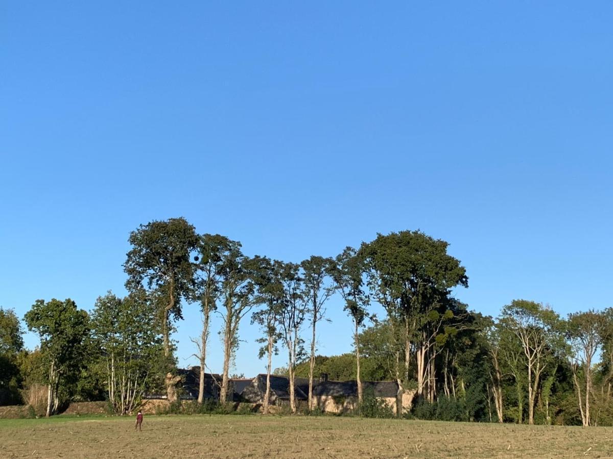Jolie Metairie D'Une Seigneurie Bretonne. Peaule Экстерьер фото